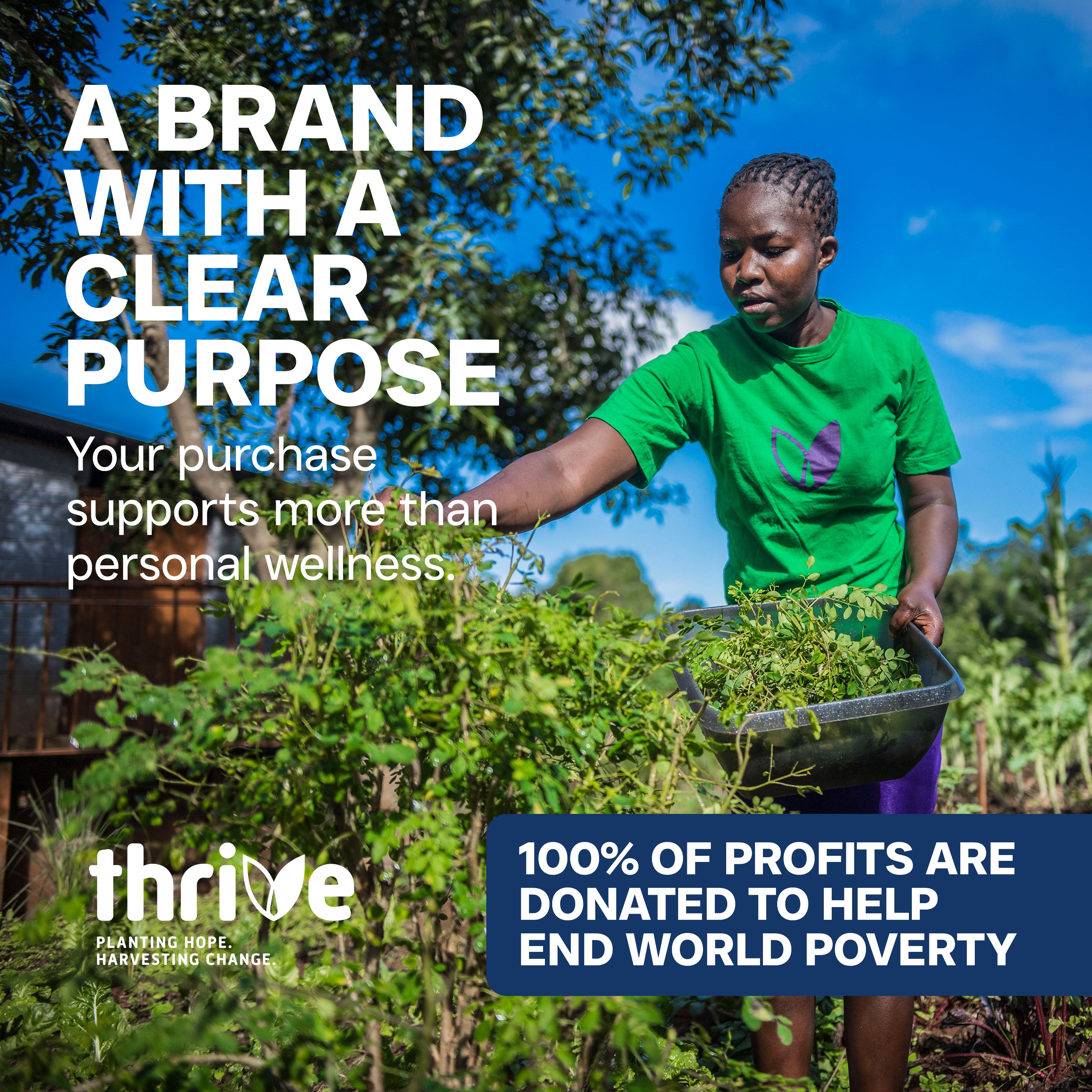 Person in a green shirt harvesting plants with text about a brand's purpose and charity work.