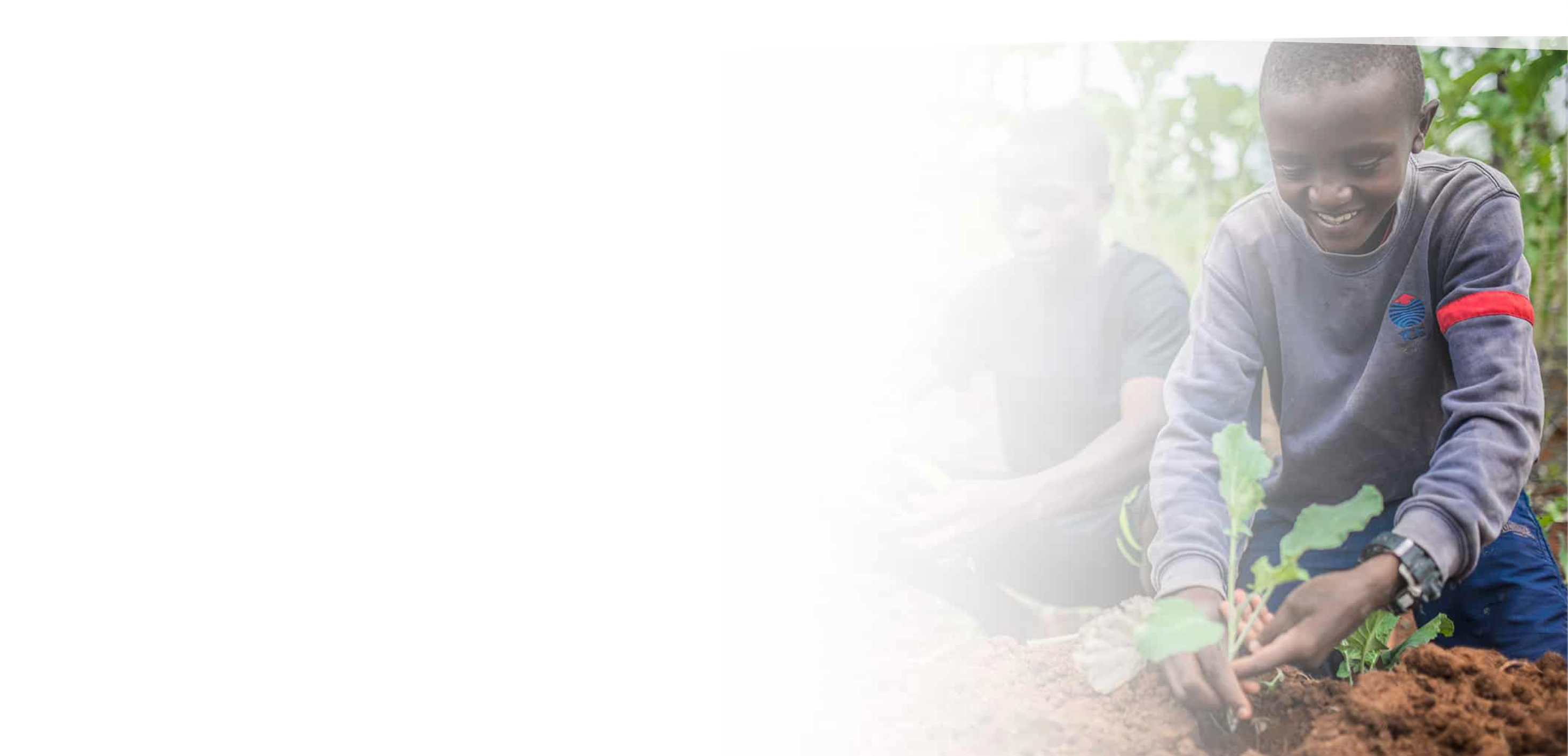 Child planting crops with a focus on the action of planting.