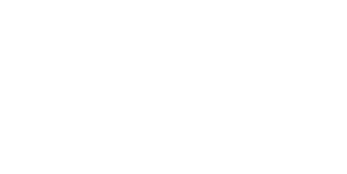Loblaws logo in white on a transparent background.